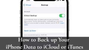 How to Back up Your iPhone Data to iCloud or iTunes_ Know Steps - Technocris.com