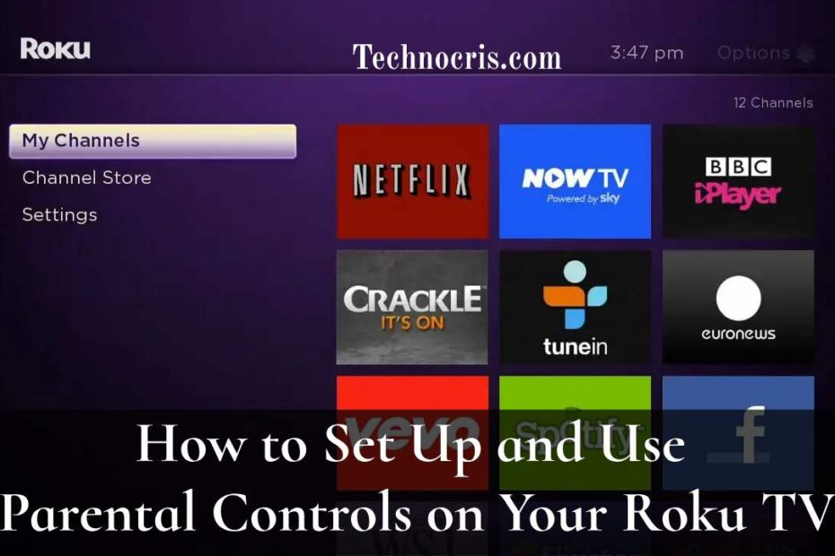 Easy Way to Set Up and Use Parental Controls on Your Roku TV - technocris.com